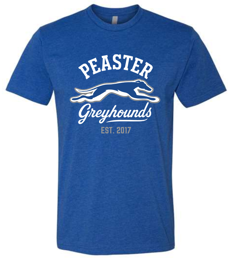 **YOUTH** VINTAGE - UNISEX SHORT SLEEVE TEE (NEXT LEVEL) ROYAL
