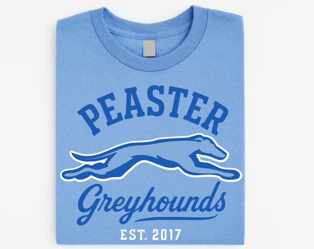 VINTAGE - UNISEX TEE - CAROLINA BLUE