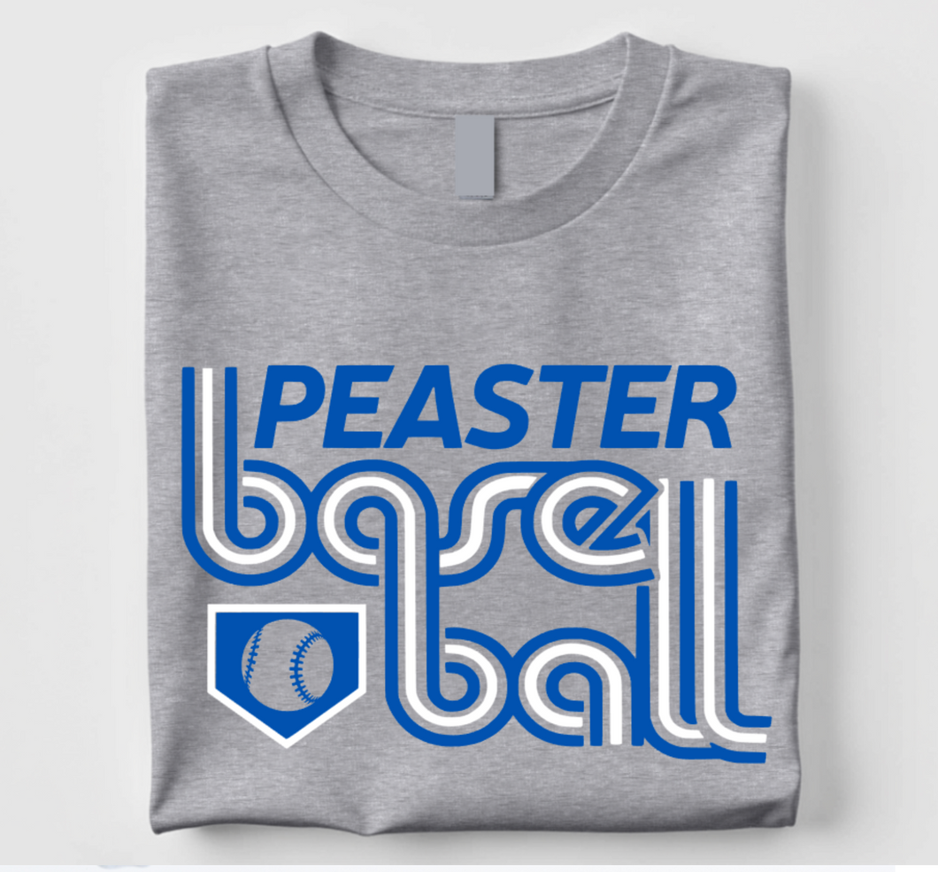 SHORT SLEEVE TEE (GILDAN OR NEXT LEVEL) PLATE - GREY